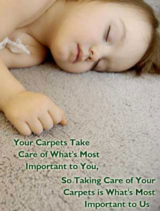 Carpet Cleaning palatine