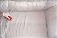 Sofa Cleaning chicago