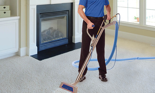 Tanin Carpet Cleaning Burr Ridge