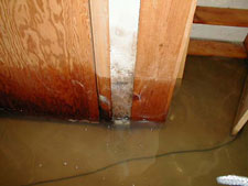 mold remediation vernon hills