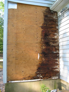 Water Damage schaumburg