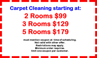 Tanin Carpet Cleaning Coupon