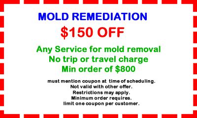Tanin Mold Remediation Coupon