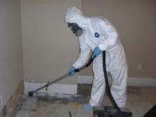 mold remediation lake in the hills